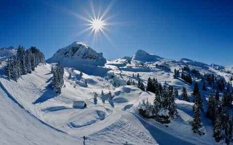 Séjour Ski alpin Châtel du 15 au 22 mars 2025